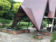 -上海滨江森林公园