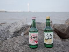 -上海吴淞炮台湾国家湿地公园
