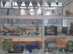 -斯坦星球AI编程·机器人科创·科学实验·信奥·思维·STEM·乐高·竞赛考级(长宁虹桥大融城荟聚中心)