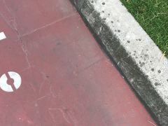 -成都蒲江花样年福朋喜来登度假酒店·宜客乐西餐厅