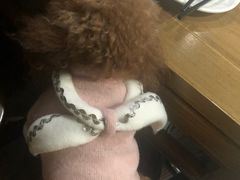 -庄稼人(蓝岸3G店)