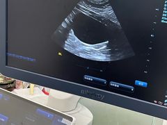 -宠物星动物医院·眼科·异宠·猫科(江南大道总院)