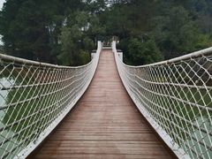 -铁山坪森林公园