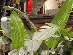 -苏浙徽·农家大院(吴江中山南路店)