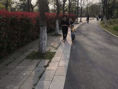 -合肥三国新城遗址公园