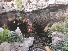 -鲤院·新中式美学·庭院餐厅(夫子庙店)