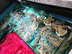 -中苑海韵