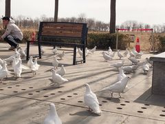 -天津妈祖文化园