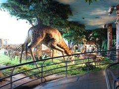 -国家自然博物馆