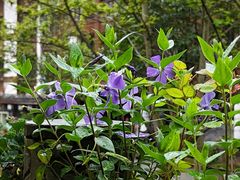 -花水湾第一村温泉大酒店