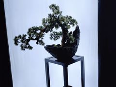 -滇铺子(欣都龙城店)