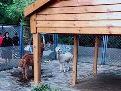 -长白岛森林公园