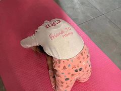 -西安小天鹅艺术团(金花路校区)