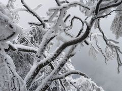 -光雾山旅游景区
