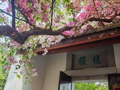 -深圳国际园林花卉博览园