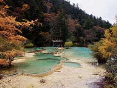 -黄龙山原始森林景区