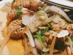 -老家黄墩小错鸡·活海鲜