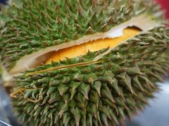 -Ah Hung D24 Sultan Durian
