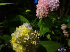 -常州古运河南大街文化旅游区-人民公园