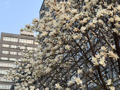 -有礼有面(知春路店)