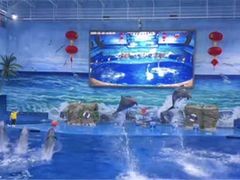 -多彩贵州城极地海洋世界