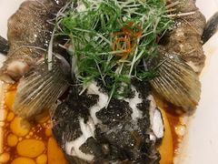 -樱苑(四川北路店)