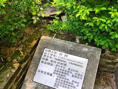 -桂林独秀峰王城景区