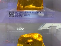 -侏罗纪世界电影特展(广州站)