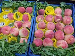 -四道口水产市场