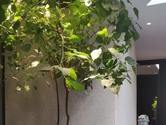 -王府茶楼茶宴·创意菜(朝阳公园店)