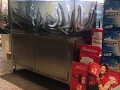 -本炙炭烤·蒲烧活鳗料理店(金沙洲店)