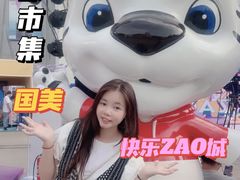 -国美电器(成都天府立交店)