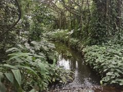 -海南热带野生动植物园