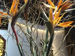 -食悦江南·淮扬菜·烤鸭(亚运村·惠新店)