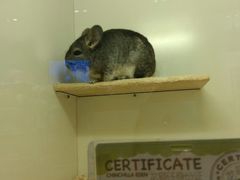 -龙猫仔乐园(惠福东路店)