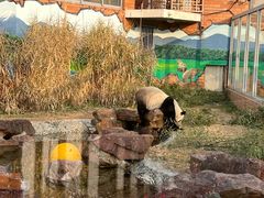 -苏州太湖国家湿地公园