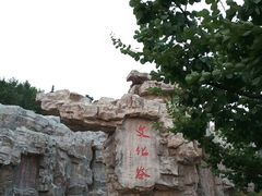 -《神游传奇》秀