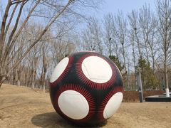 -瀛海足球主题公园