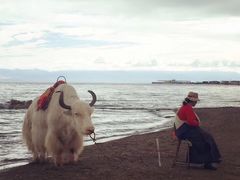 -青海湖国家重点风景名胜区