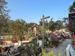 -清水湖度假村(罗浮山美食地标店)