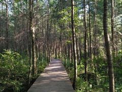 -青峰峡国家森林公园