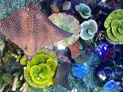 -成都浩海立方海洋公园