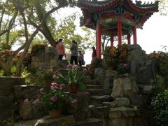 -莲湖公园