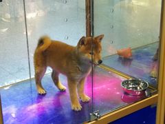 -乐宠宠物店(世纪金源店)