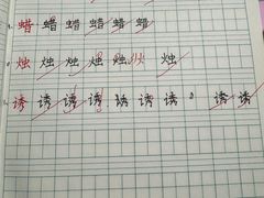 -赵汝飞练字硬笔书法(静安大融城校区)