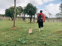 -上海海湾国家森林公园