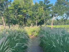 -汉长安城未央宫国家考古遗址公园