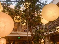 -馋嘴猫北京食堂·烤鸭·宵夜(亚运村店)