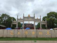 -庐山风景名胜区-东林大佛