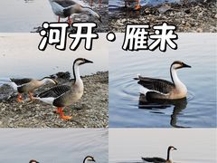 -沈阳市东陵公园